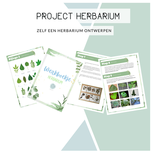 Project: Maak je eigen herbarium