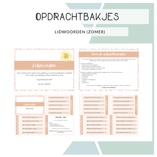 Opdrachtbakje - Lidwoorden zomer (MB en BB)