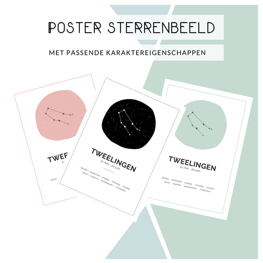 Poster definitie: tweelingen