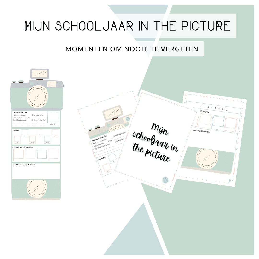 Mijn schooljaar in the picture - Infographic maken