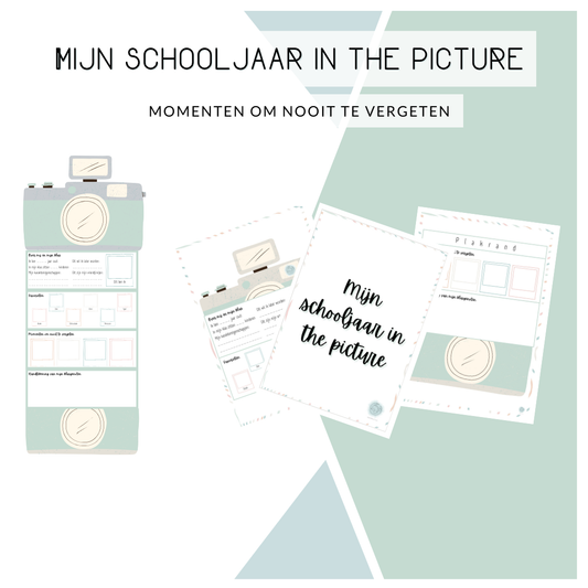 Mijn schooljaar in the picture - Infographic maken