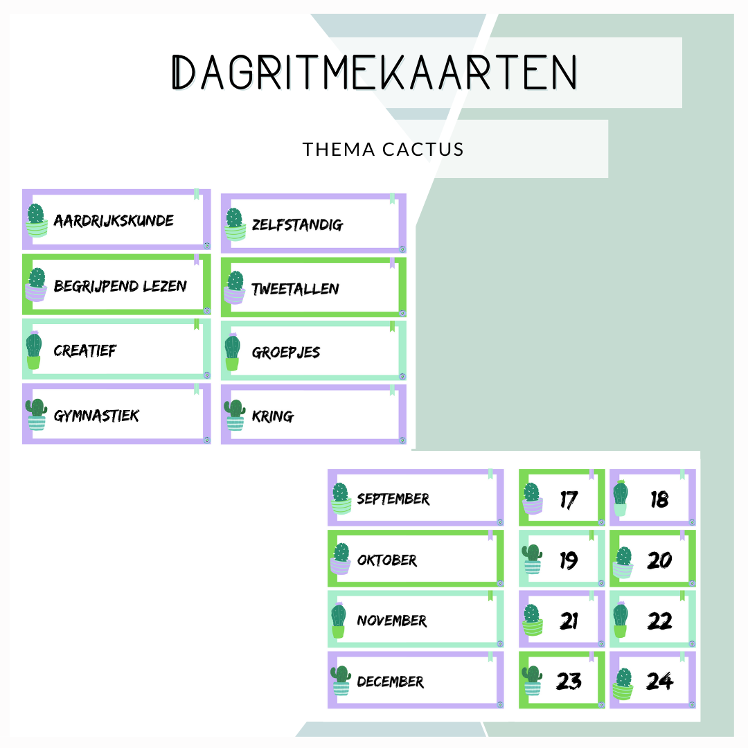 Dagritmekaarten - Thema cactus