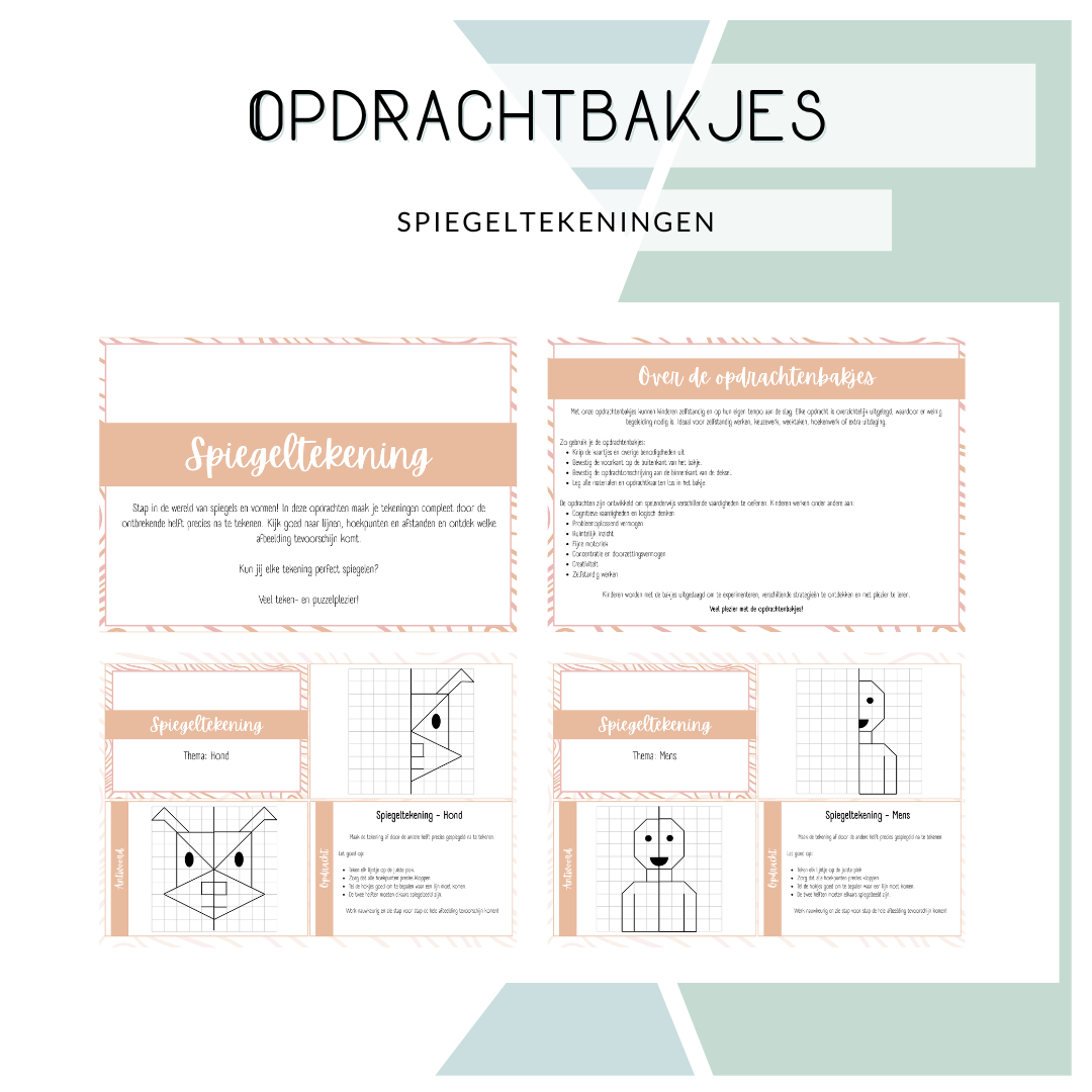 Opdrachtbakje - Spiegeltekeningen (MB)